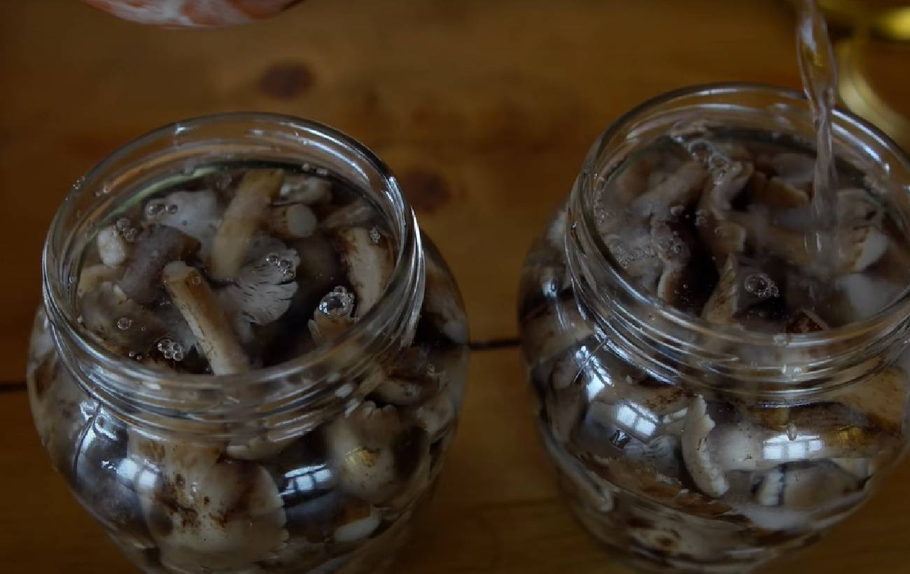 Смак осені: рецепт маринованих опеньків для смачних закусок